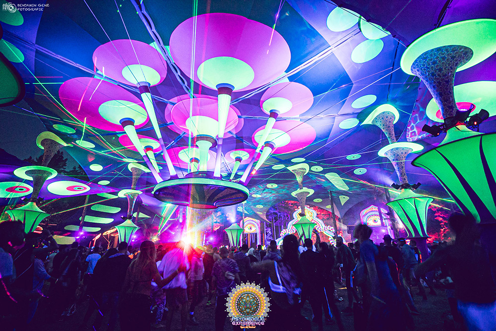 Psychedelic Experience Festival 2024